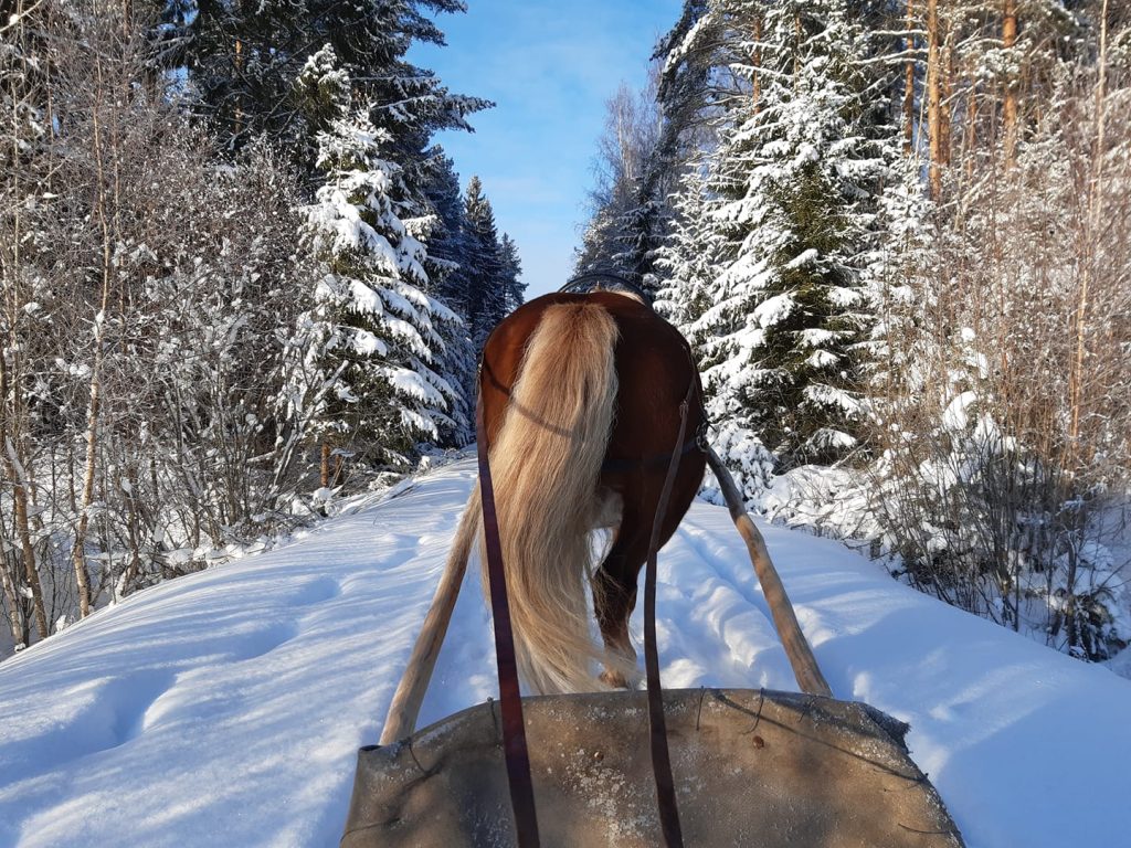 Hevosajelutukset tapahtumiin ja juhliin_Wanaha Talli_Huhtalan Tila_Kauhava